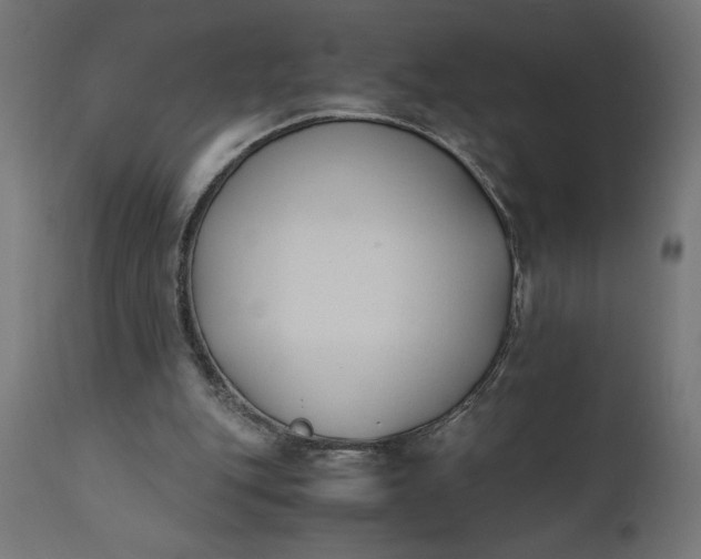 X0000110690151200906261352