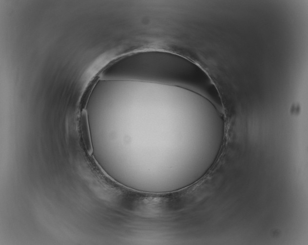 X0000110690152200906261352