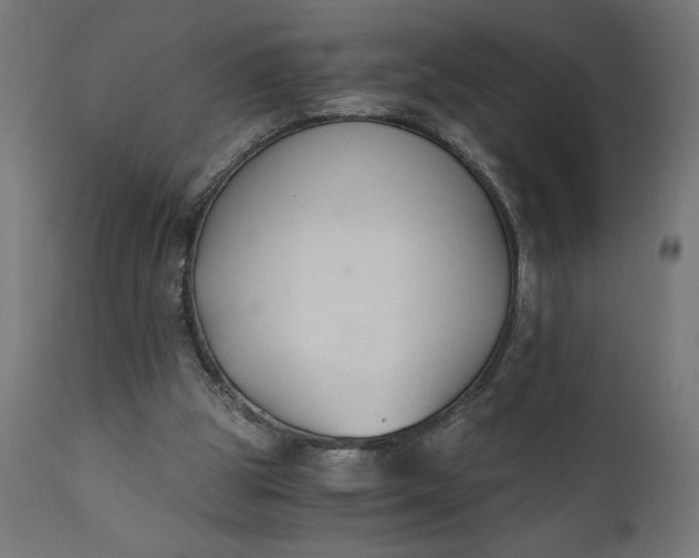 X0000110690153200906261352