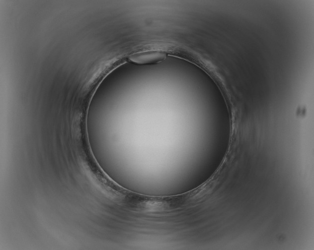 X0000110690154200906261352