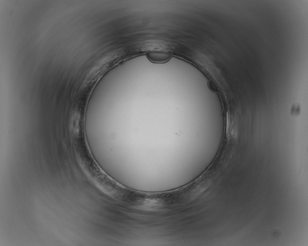 X0000110690157200906261352