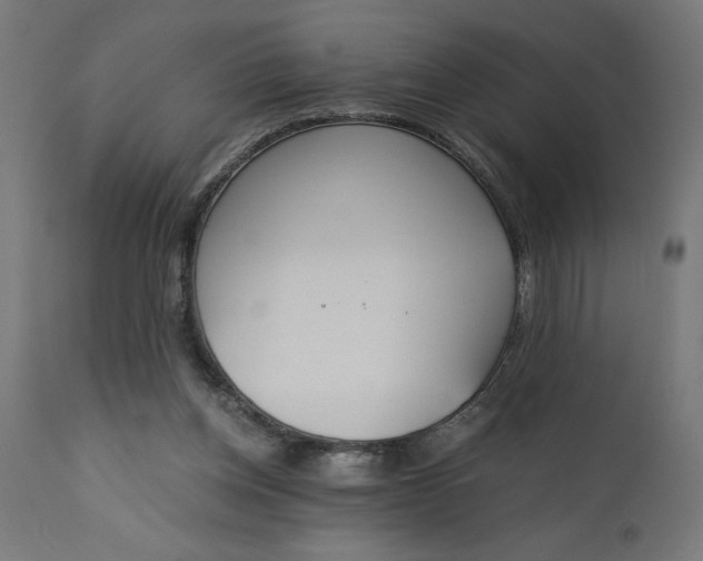 X0000110690158200906261352