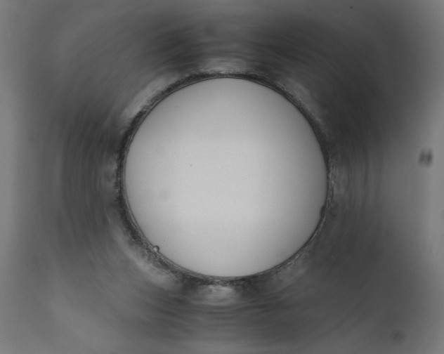 X0000110690159200906261352