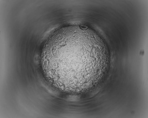 X0000110690161200906261352