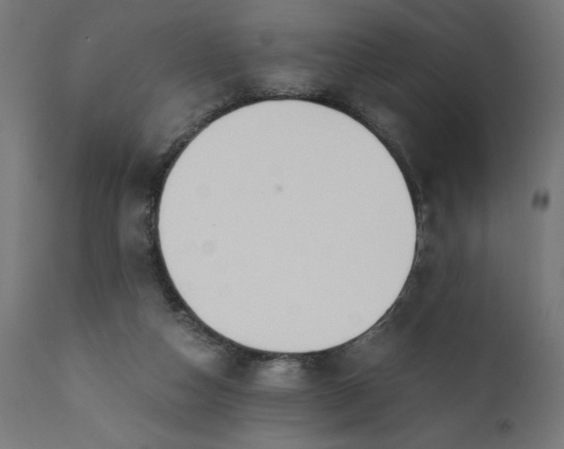 X0000110690162200906261352