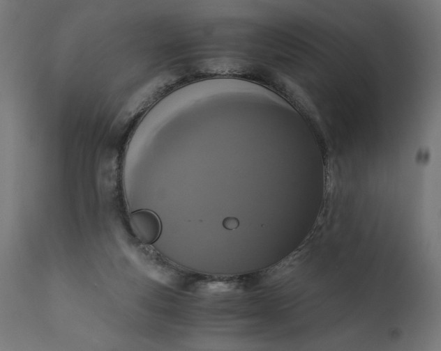 X0000110690163200906261352