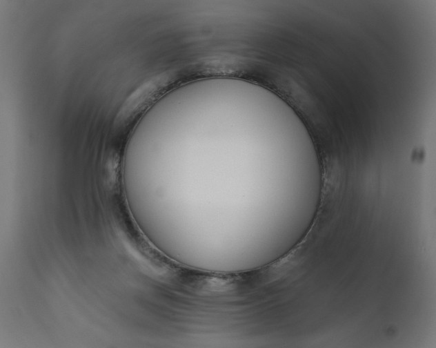 X0000110690166200906261352