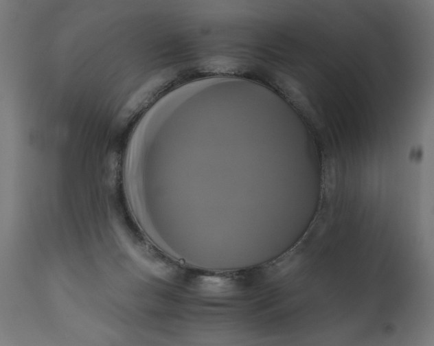 X0000110690167200906261352