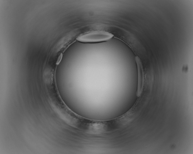 X0000110690168200906261352