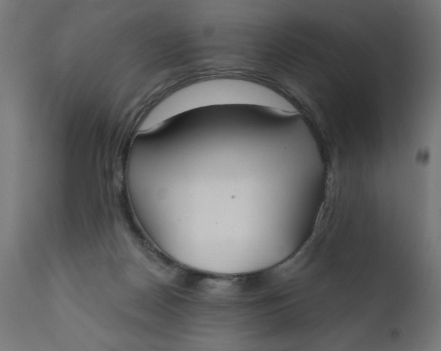 X0000110690170200906261352