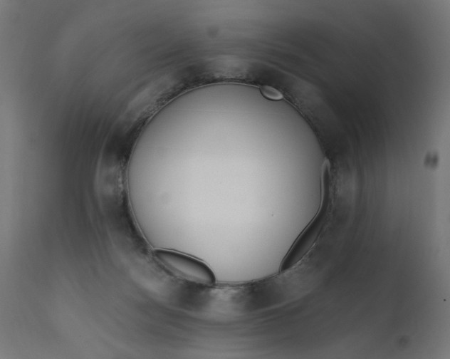 X0000110690172200906261352