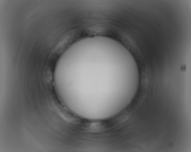 X0000110690173200906261352