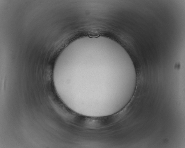 X0000110690174200906261352