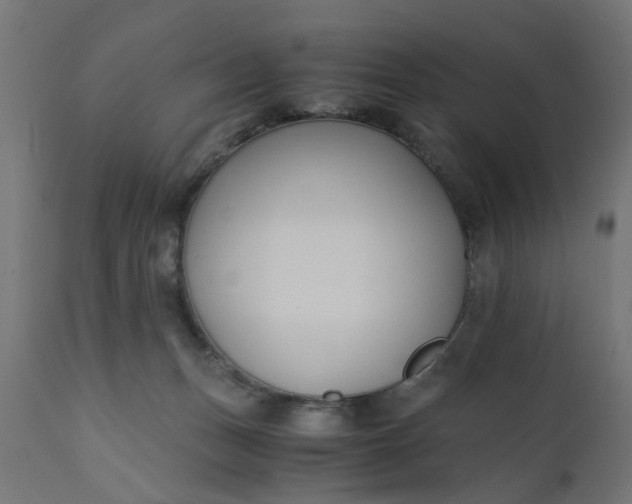 X0000110690175200906261352