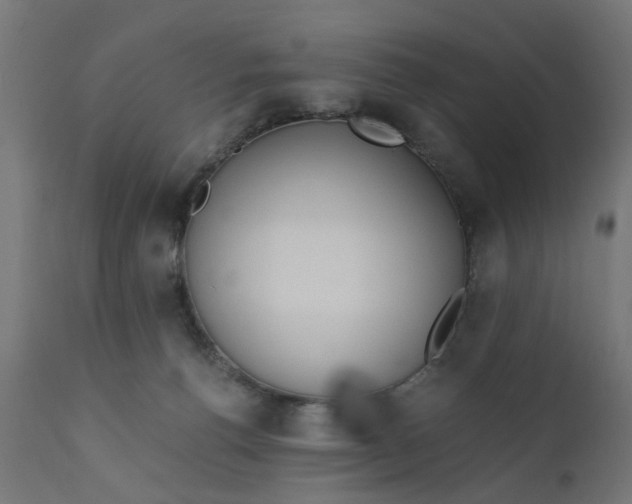 X0000110690176200906261352