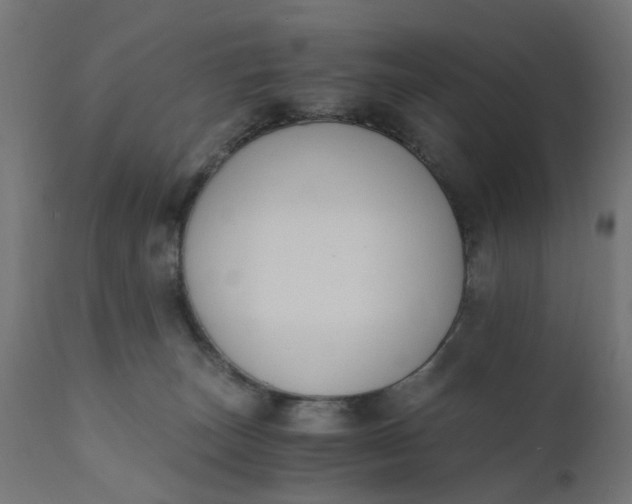 X0000110690179200906261352