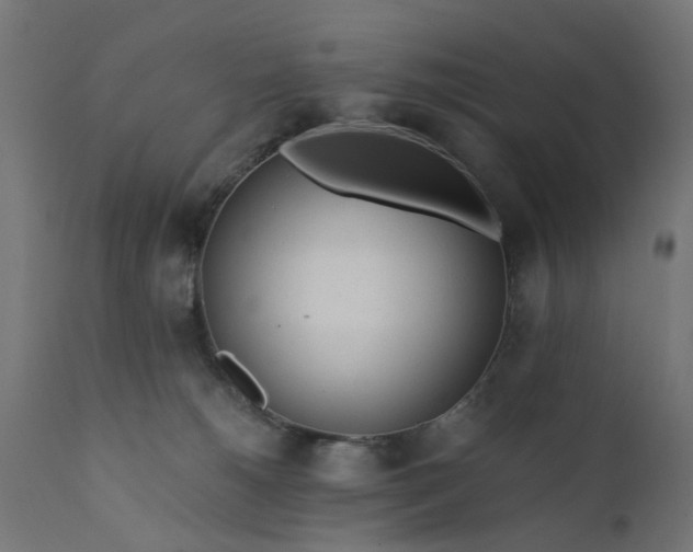 X0000110690180200906261352