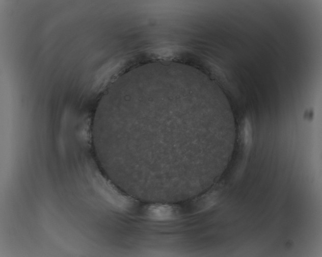 X0000110690181200906261352