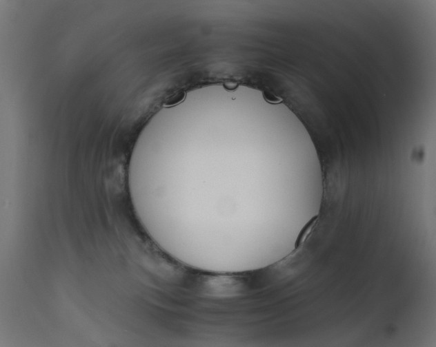 X0000110690183200906261352