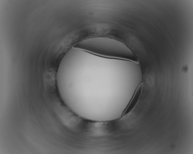 X0000110690184200906261352