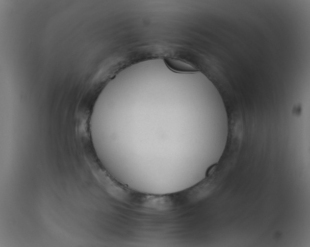 X0000110690185200906261352