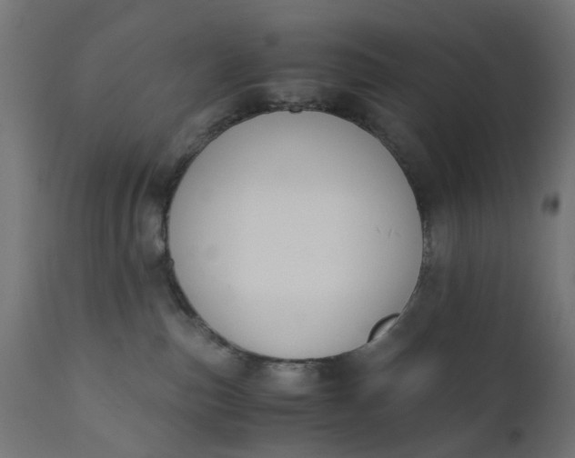 X0000110690187200906261353