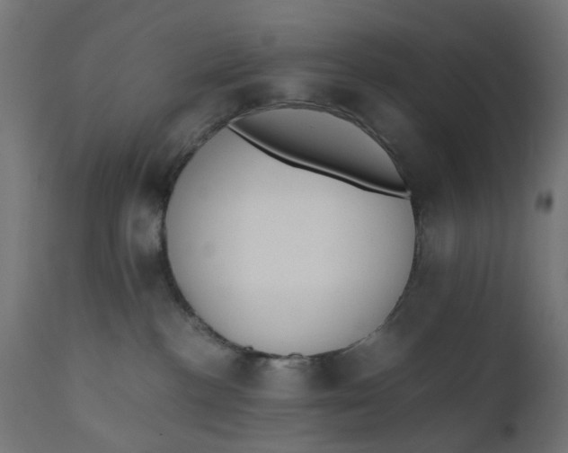 X0000110690188200906261353