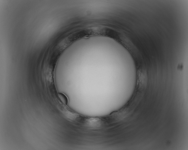 X0000110690189200906261353