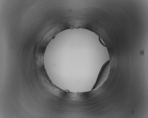 X0000110690191200906261353