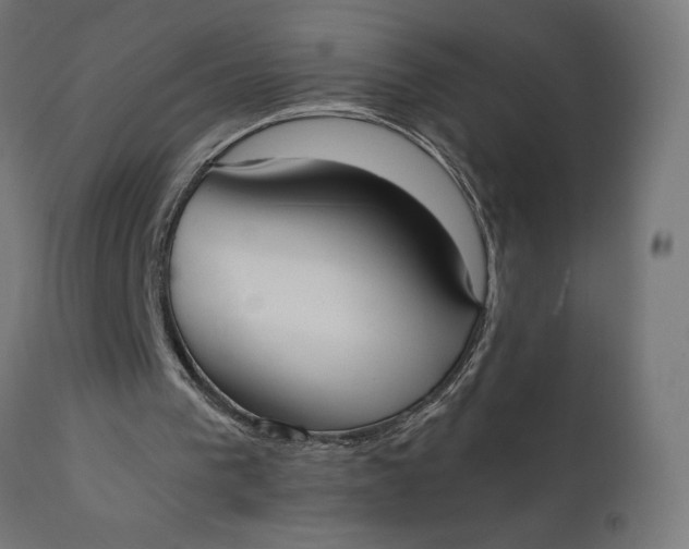 X0000110690193200906261352