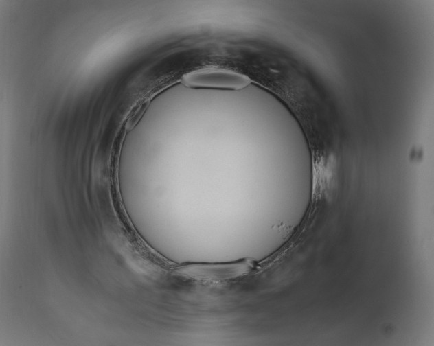 X0000110690195200906261352