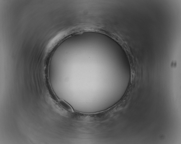 X0000110690197200906261352