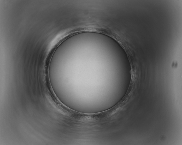 X0000110690198200906261352