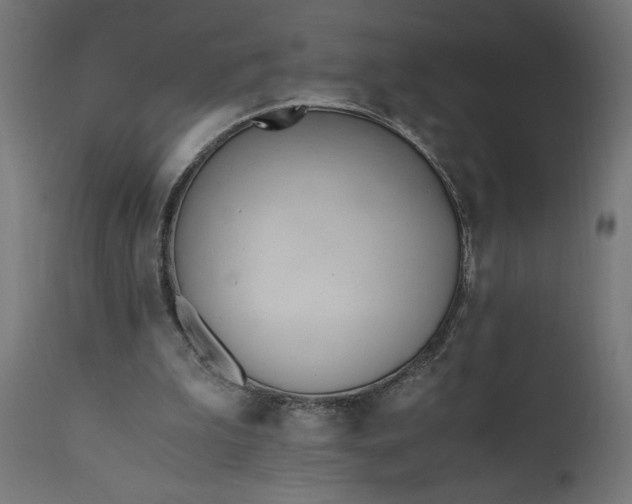 X0000110690199200906261352