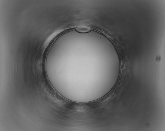 X0000110690200200906261352