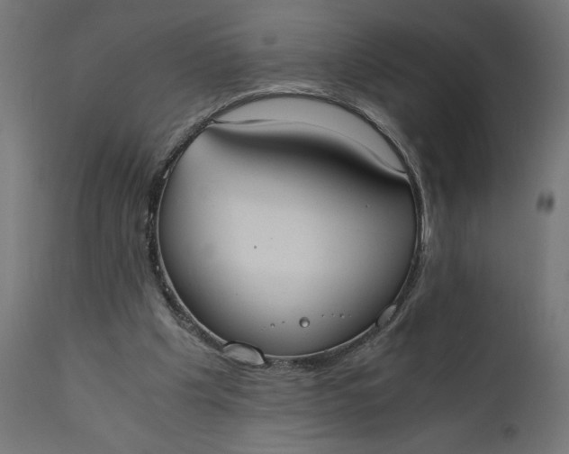 X0000110690201200906261352