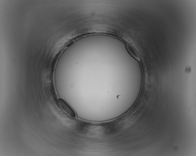 X0000110690203200906261352