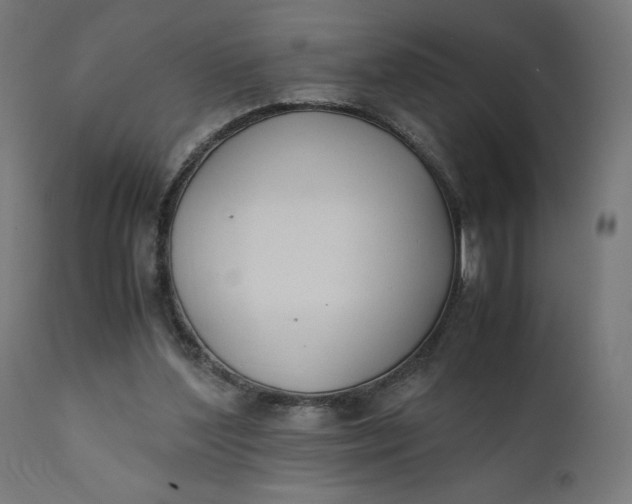 X0000110690204200906261352