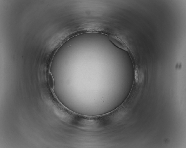 X0000110690205200906261352