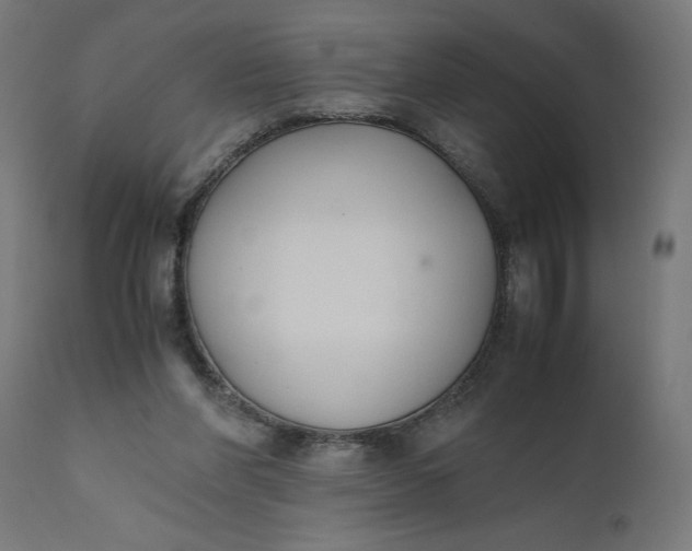 X0000110690206200906261352