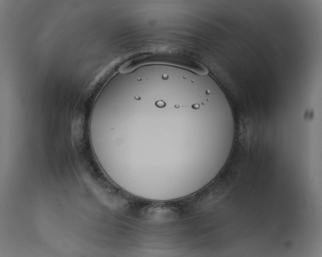 X0000110690208200906261352