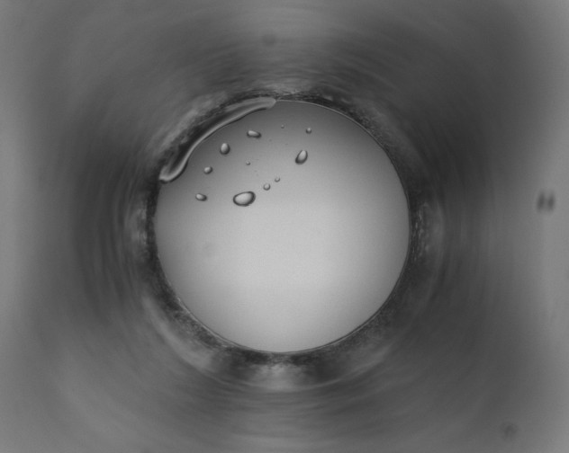 X0000110690212200906261352