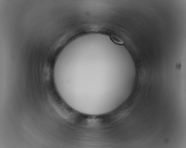 X0000110690216200906261352