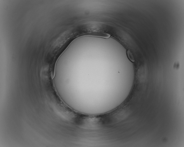 X0000110690217200906261352