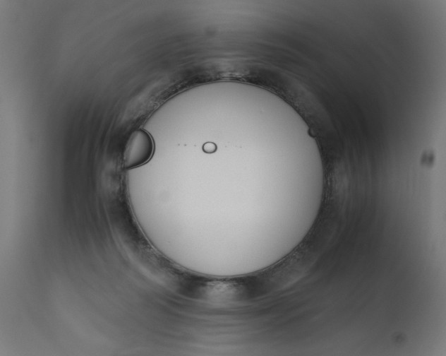 X0000110690218200906261352