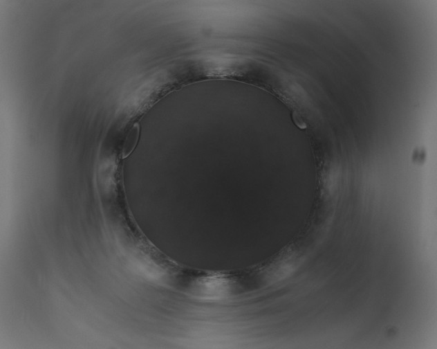 X0000110690219200906261352