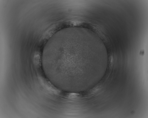 X0000110690222200906261352