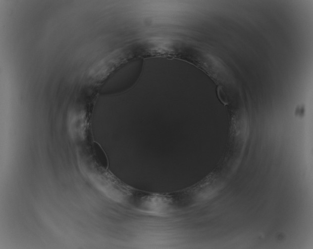 X0000110690223200906261352