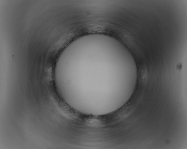 X0000110690224200906261351