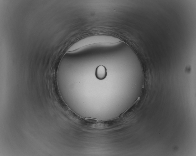 X0000110690225200906261351